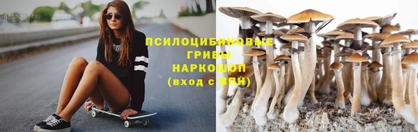 марки lsd Ельня