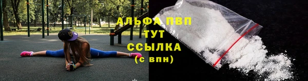 гашик Елизово