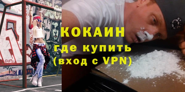 гашик Елизово