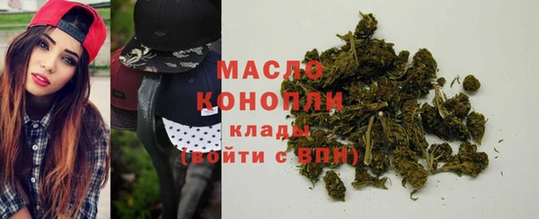 гашик Елизово