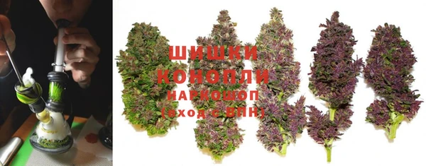 гашик Елизово