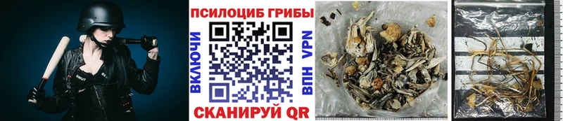 Псилоцибиновые грибы MAGIC MUSHROOMS  Купить  Долинск 